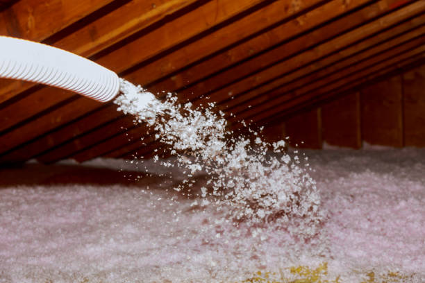 Best Cellulose Insulation in Sand Ridge, NY