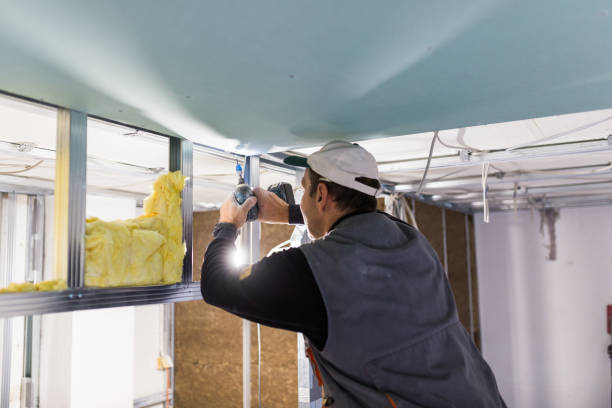Best Spray Foam Insulation in Sand Ridge, NY
